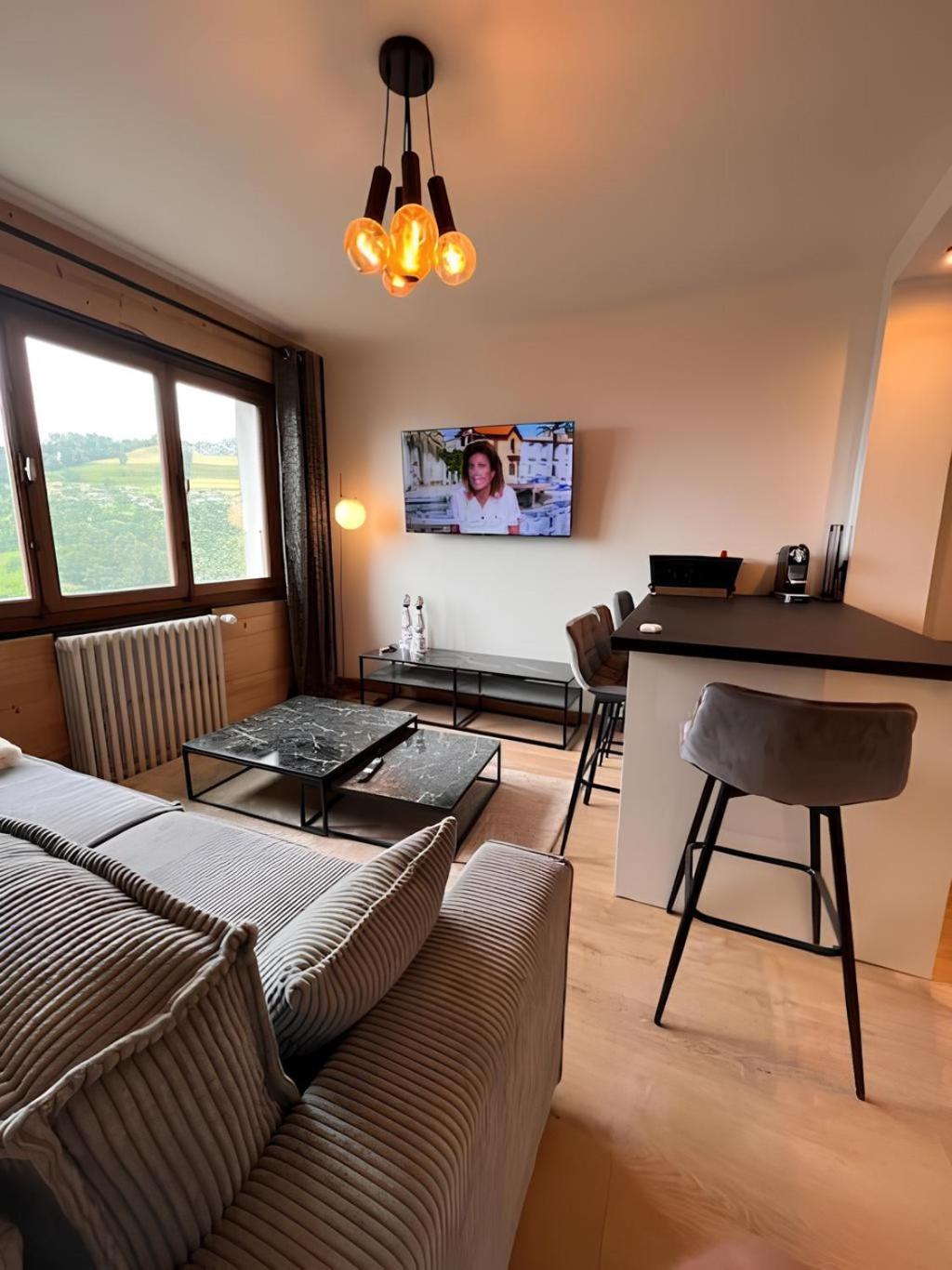 Vue Mont Blanc, Ski Et Village Combloux Eksteriør billede